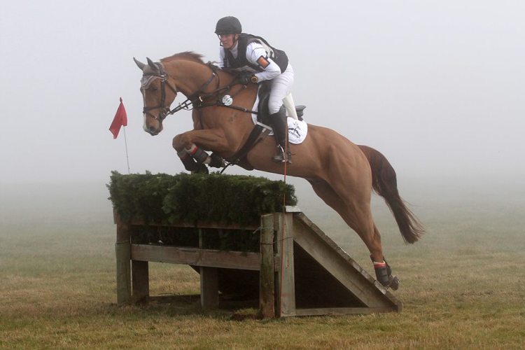 10370368_798444436840271_3225930733589498495_n