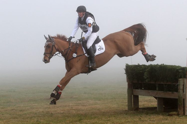 10394483_798443836840331_414016539484782883_n