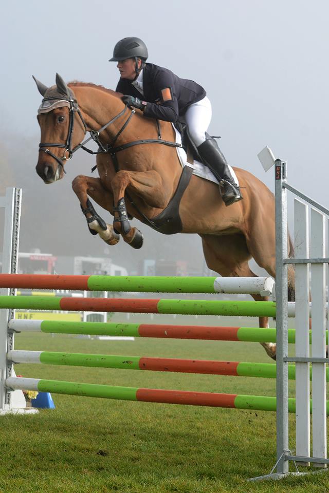 1920140_798450710172977_5814292906852894416_n