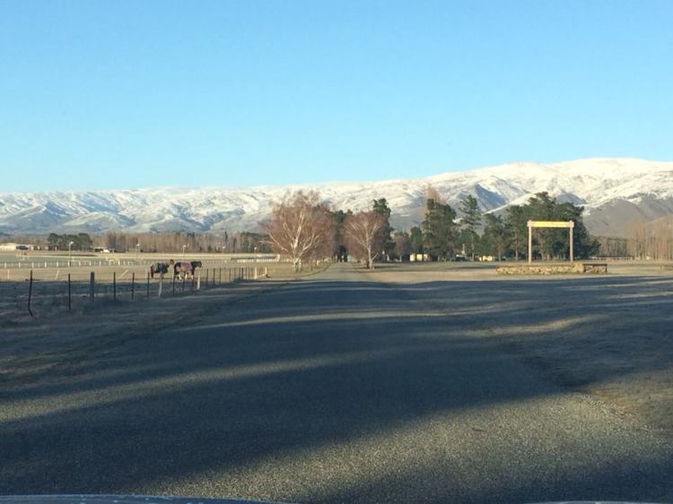 10559922_10152650490856983_790700966437234882_n