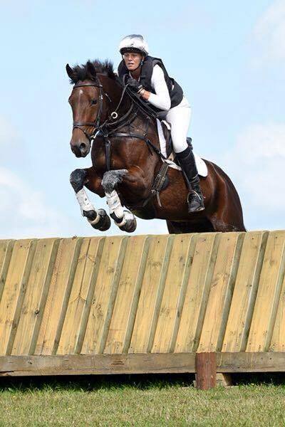 13530505_580094438816925_2102372943_n