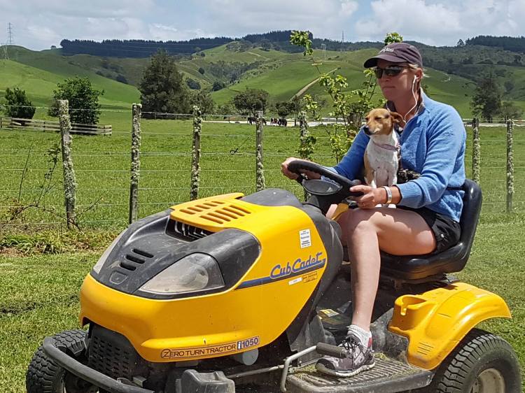 15310971_10154786347726983_1846283520_o