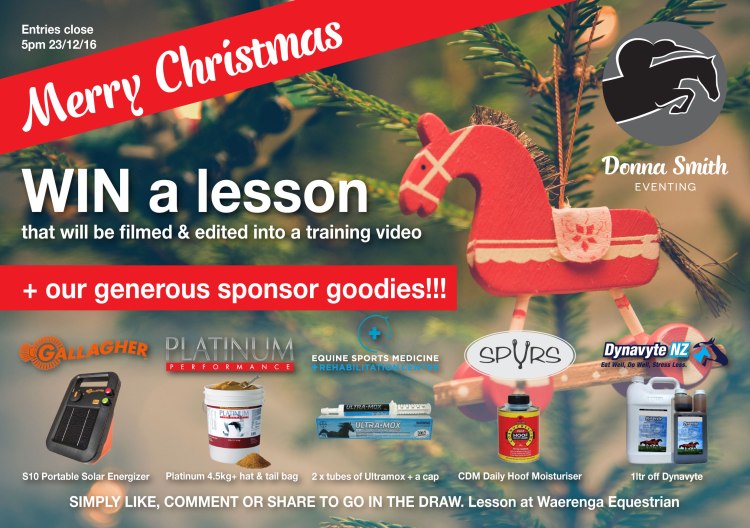 dse-christmas-prezzy-comp